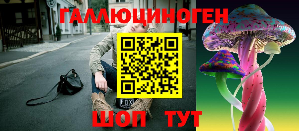 Псилоцибиновые грибы Cubensis Татарск